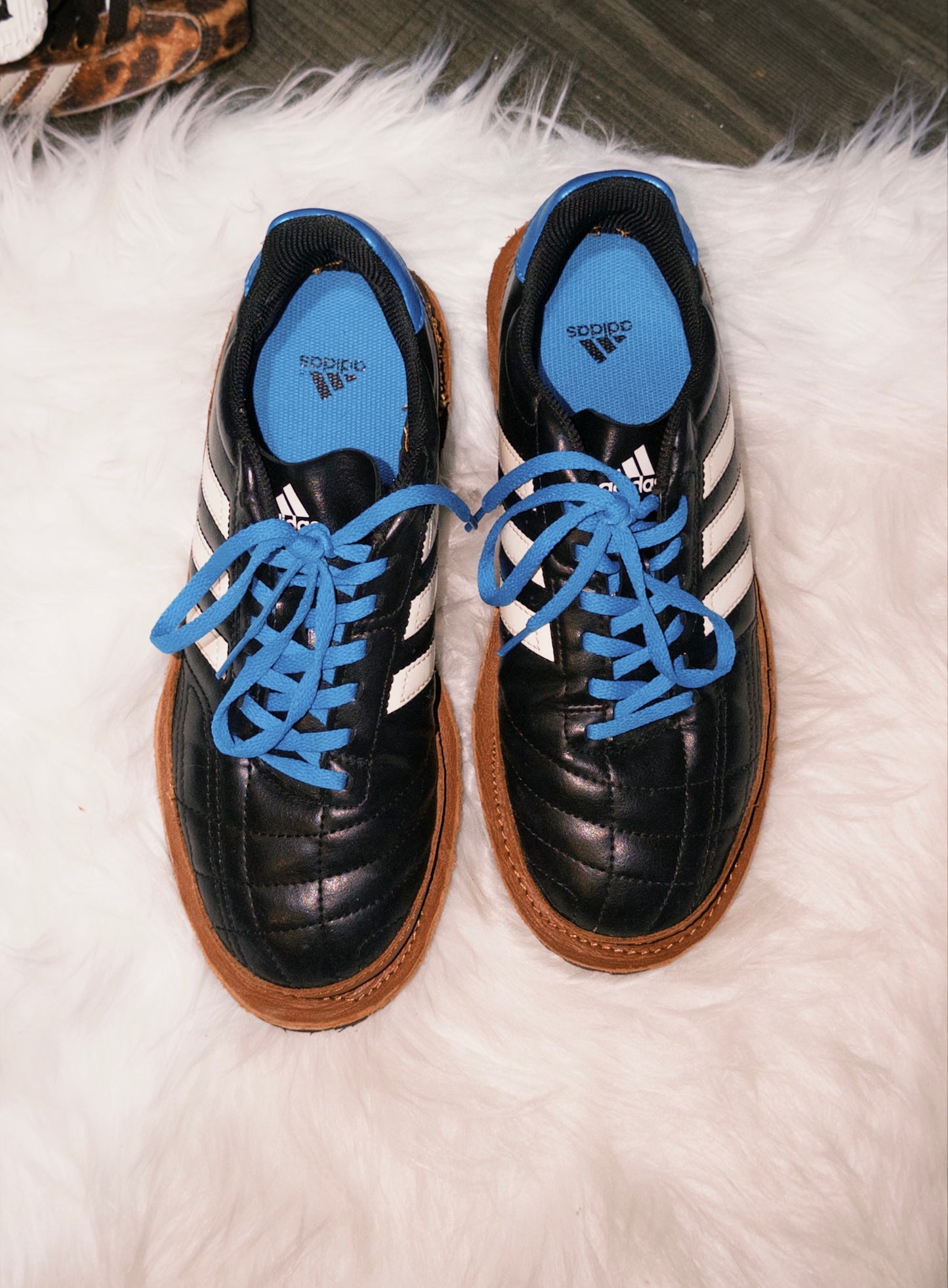 Adidas Inverted Remake shoes
