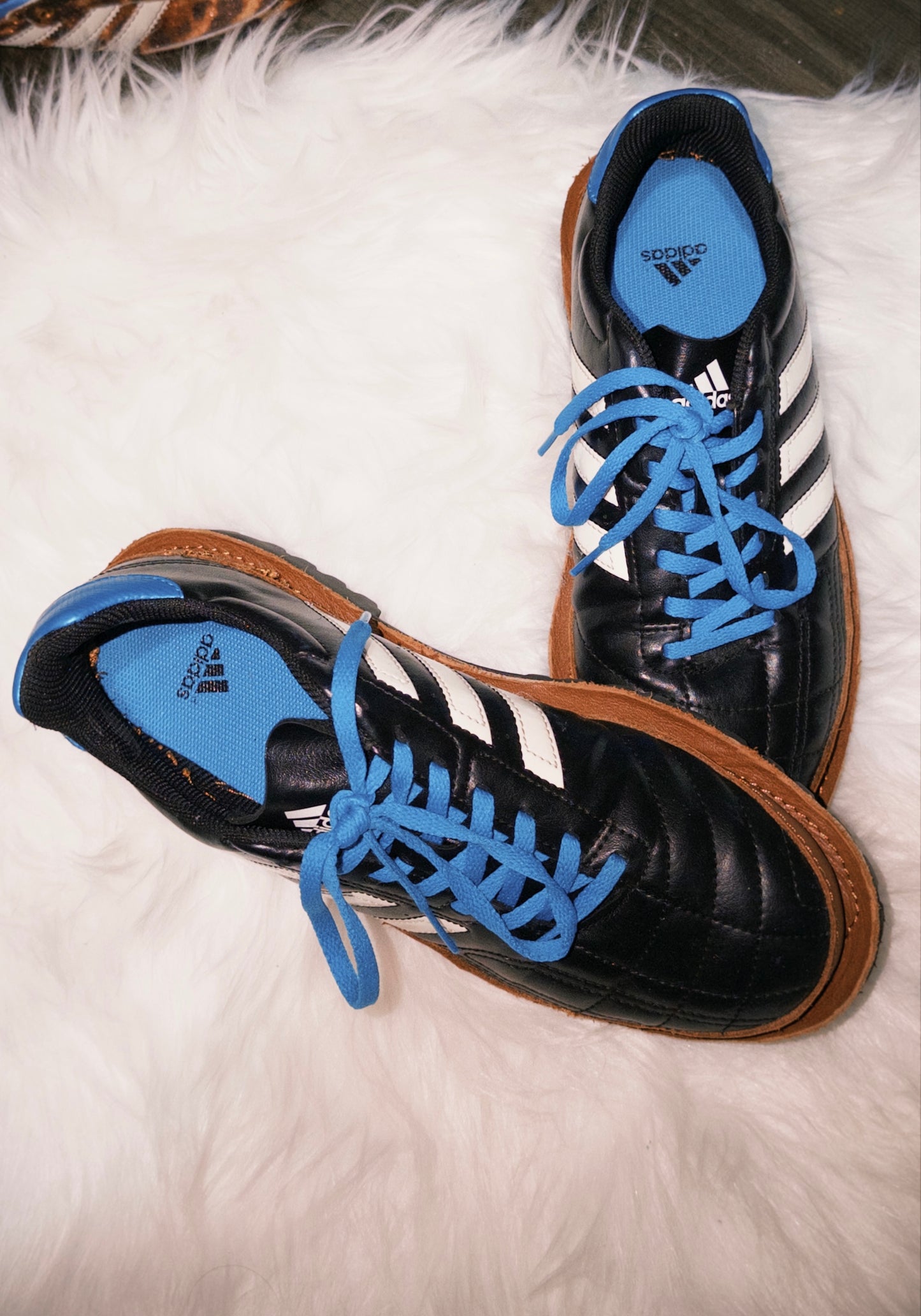 Adidas Inverted Remake shoes